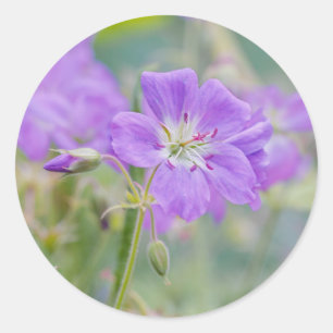 Violet Geranium Wildflower Dreamy Nature Photo Classic Round Sticker
