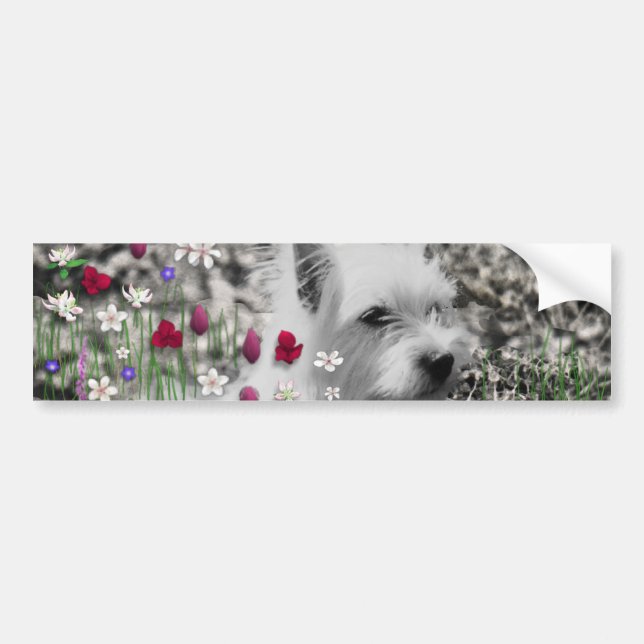 Violet in Flowers – White Westie Dog Bumper Sticker (Front)