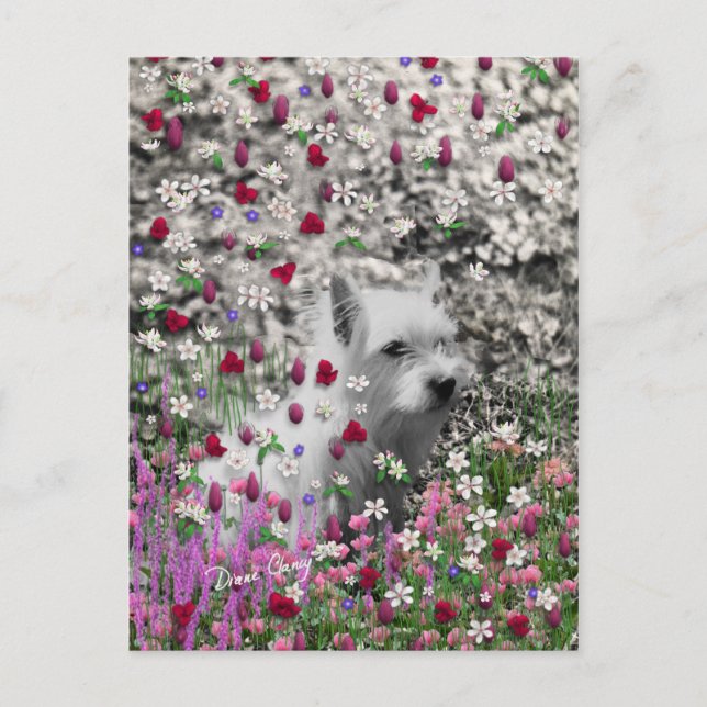 Violet in Flowers – White Westie Dog Postcard (Front)