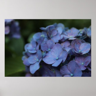 Violet in Twilight Poster