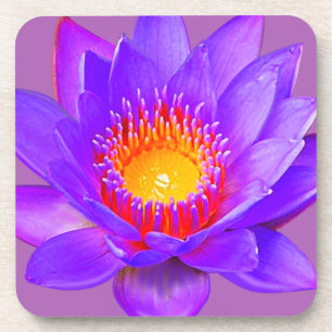 Violet Lotus Flower Coaster