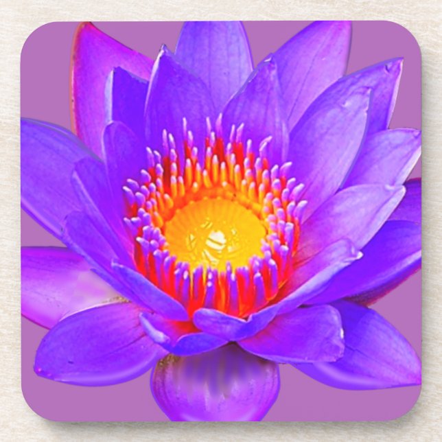 Violet Lotus Flower Coaster (Front)