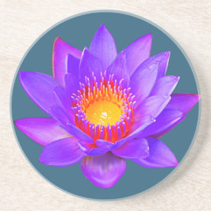 Violet Lotus Flower on Blue Coaster