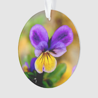 Violet Ornament