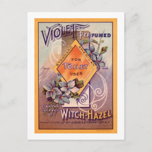 Violet Perfumed - 1903 Postcard