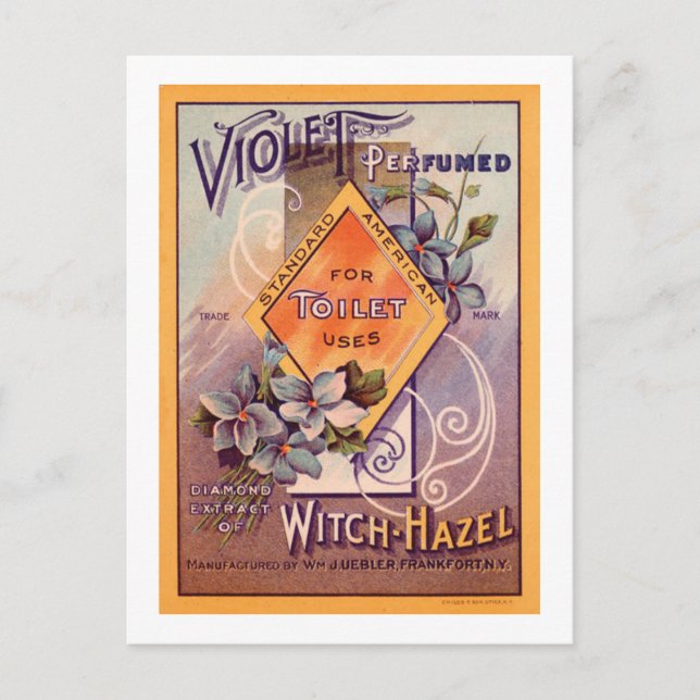 Violet Perfumed - 1903 Postcard (Front)