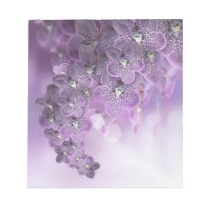 Violet Purple Blooming Flower Orchids Notepad