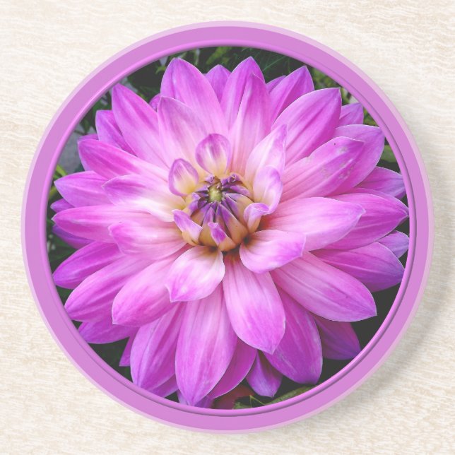 Violet/Purple Dahlia Coaster (Front)