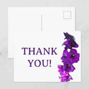 Violet Purple Gladiolus Floral Postcard