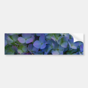 Violet purple hydrangeas bumper sticker