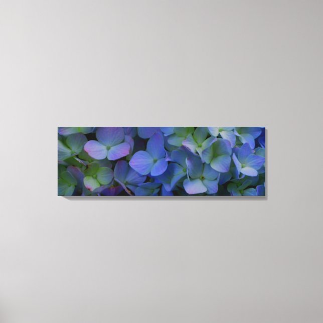 Violet purple pink blue Blue Hydrangeas flowers Canvas Print (Front)