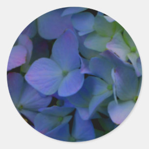 Violet purple pink blue hydrangeas flower floral classic round sticker