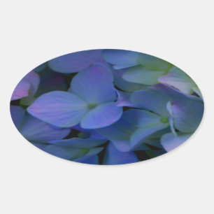 Violet purple pink blue hydrangeas flower floral oval sticker