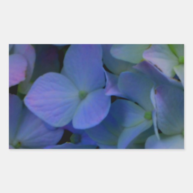 Violet purple pink blue hydrangeas flower floral rectangular sticker (Front)