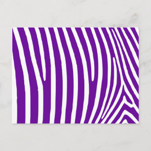 Violet Purple Zebra Stripes Postcard