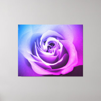 Violet Rose Canvas Print