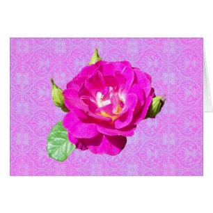 Violet Rose Damask