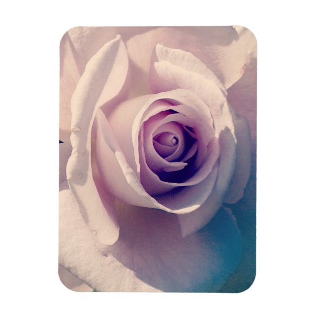 Violet Rose Magnet (Vertical)