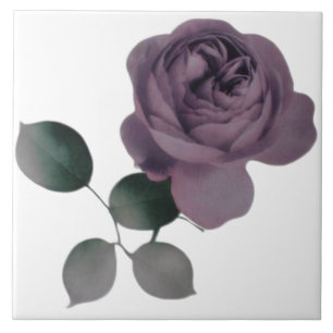 Violet Rose Tile