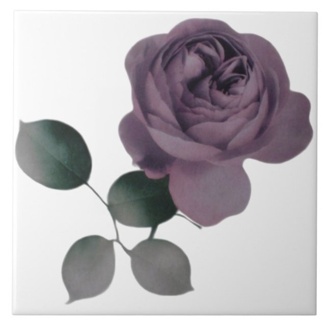 Violet Rose Tile (Front)