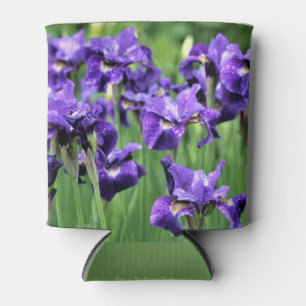 Violet Siberian Iris, Ceasar's Brother Can Cooler