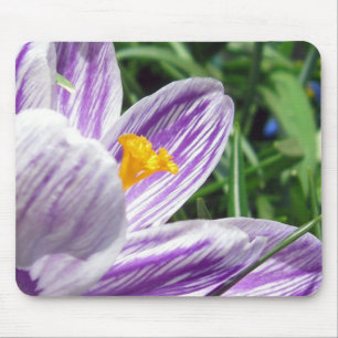 Violet spring crocus mouse mat