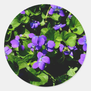 Violet Stickers