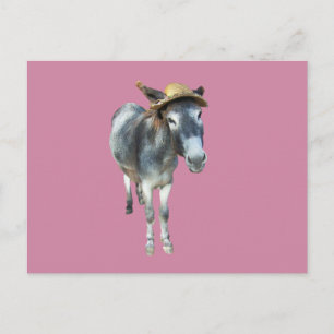 Violet the Donkey in Straw Hat with Flowers Postcard