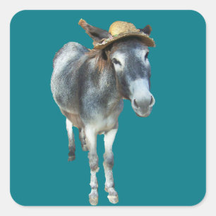 Violet the Donkey in Straw Hat with Flowers Square Sticker