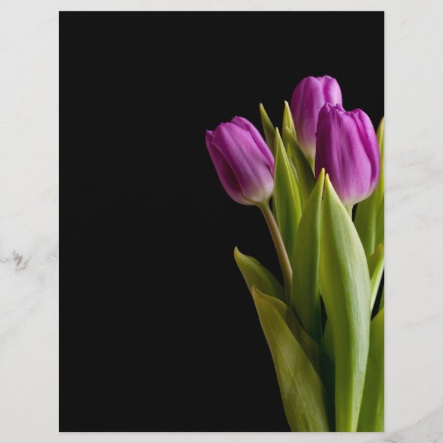 Violet tulips (Front)
