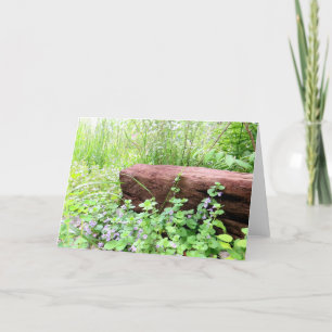 Violet Whimsy - Blank Card