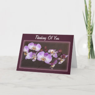 Violet White Orchid Photo Thinking Of You Template