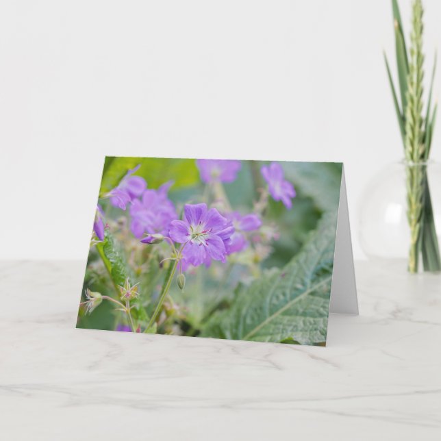 Violet Wildflower Purple Geranium Floral Photo Card (Front)