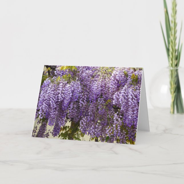 Violet Wisteria Flowers Card (Front)