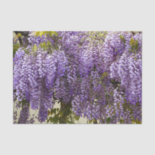Violet Wisteria Flowers Tissue Paper