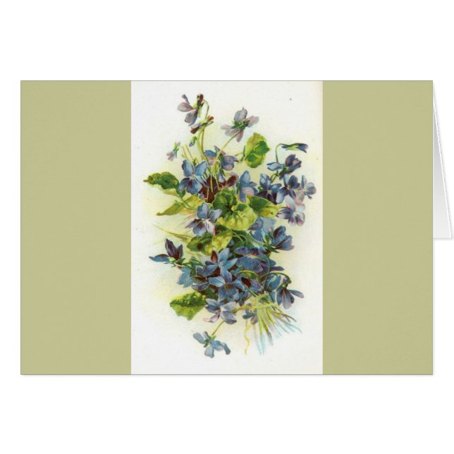 violets (Front Horizontal)