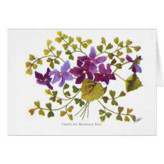 Violets and Maidenhair Fern