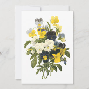 Violets and Pansy Flowers Botanical Art