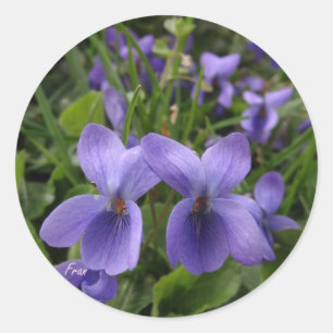 violets classic round sticker