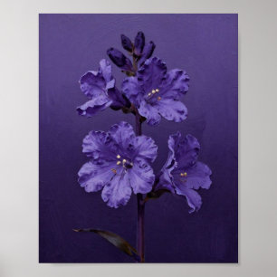 Violets in Velveteen: A Study of Botanical Radianc Poster