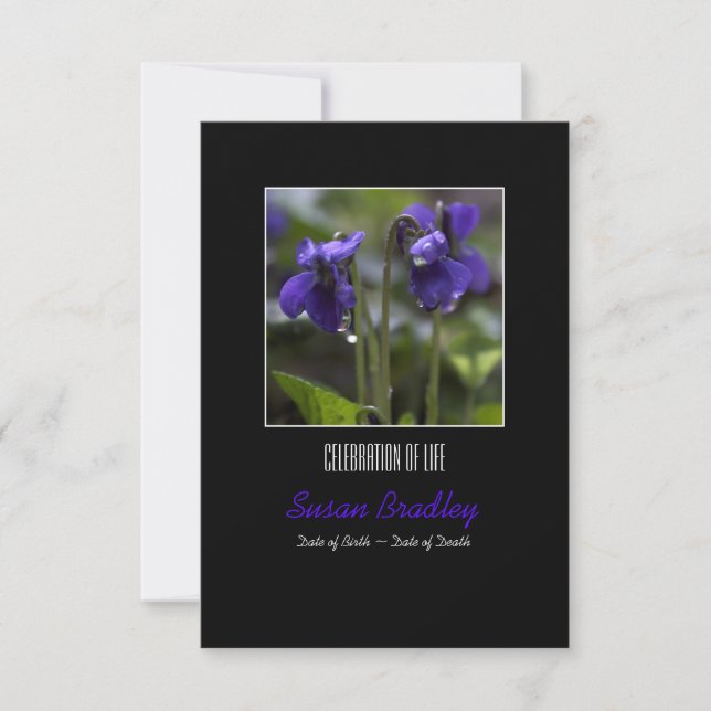 Violets with drops  Celebration of Life Invitation (Front)