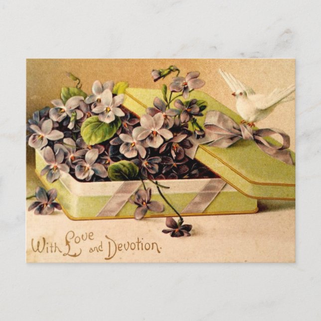 Violets - With Love and Devotion Postcard (Front)