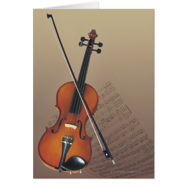 Violin (Front)