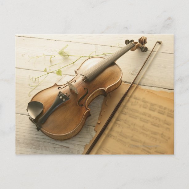 Violin Gifts & Gift Ideas Zazzle UK