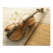 Violin and Sheet Music