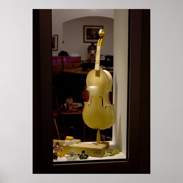 Violin In Shopping Window Poster (Front)