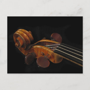Violin Scroll Postcard