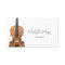 Violin Teacher Music Lessons Violinist Elegant