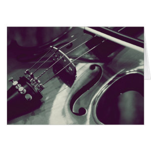 Violin Viola Cello l Photography