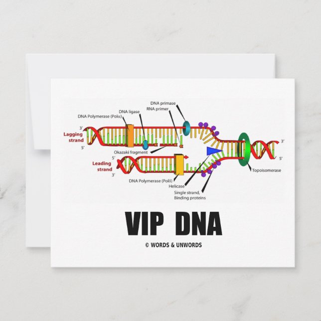 VIP DNA (DNA Replication Humour) (Front)